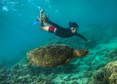 Группа черепашьих пляжей Абу-Даббаба
