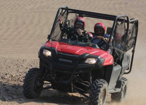 Частное семейное сафари на багги