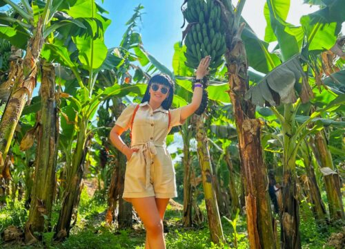 Луксор из Марса-Алама + Банановый остров