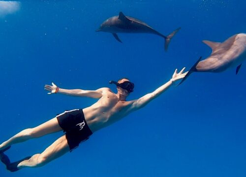 Риф Сата́я — Дом дельфинов